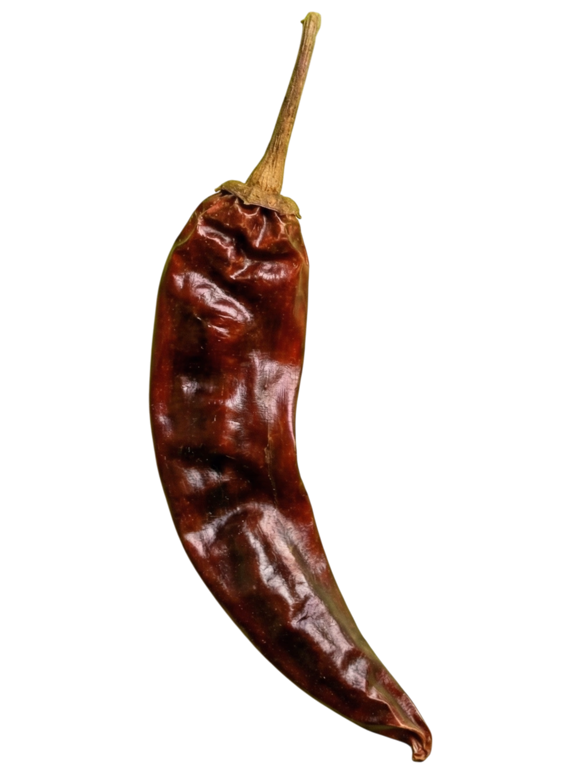 Guajillo 2 Decorativo