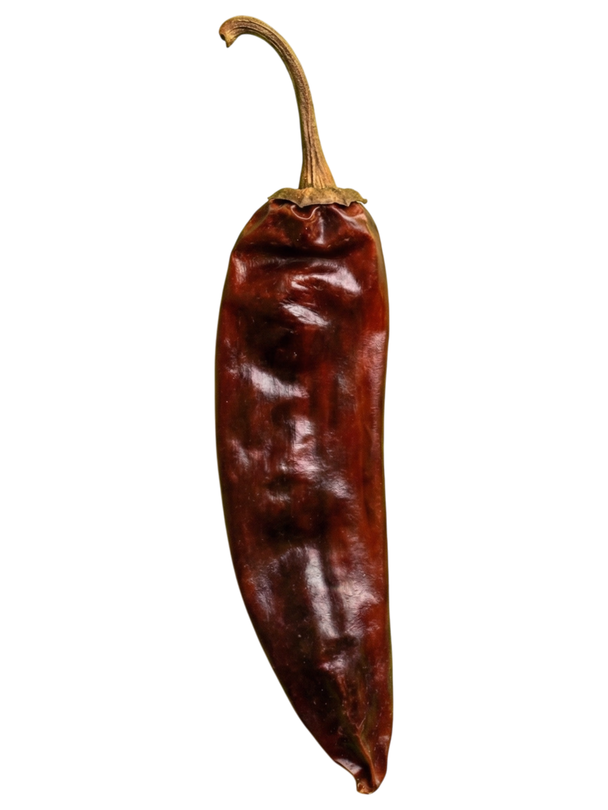 Guajillo Borde