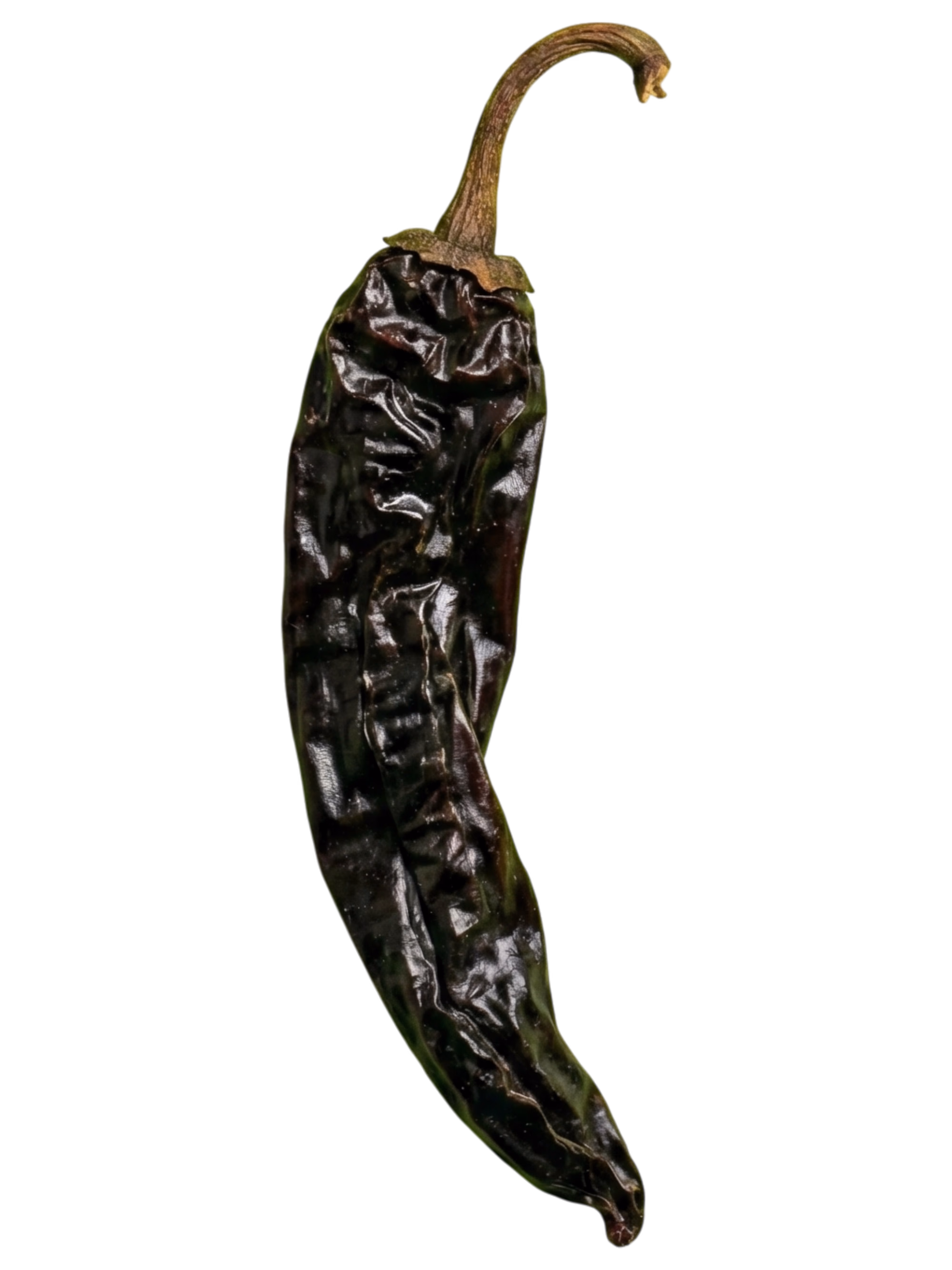 Pasilla 2 Decorativo