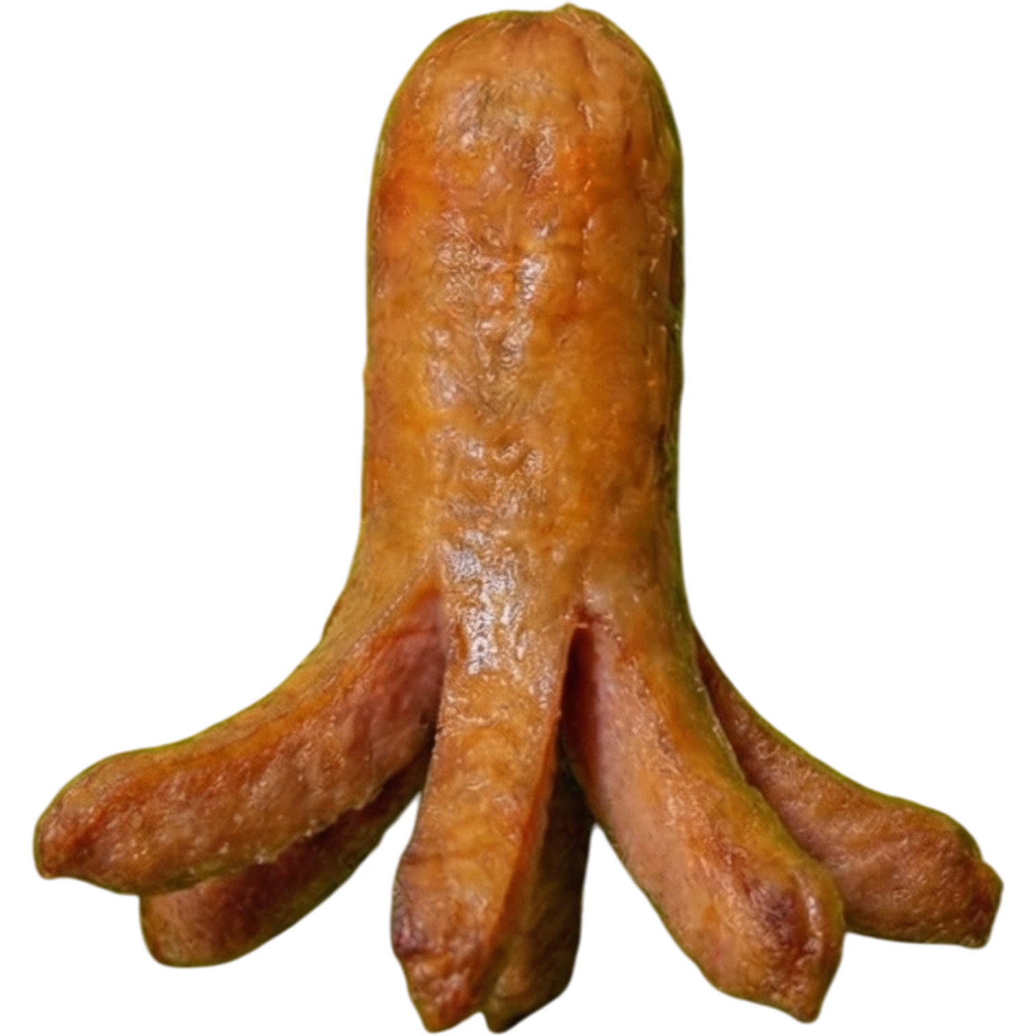 Salchipulpo 2